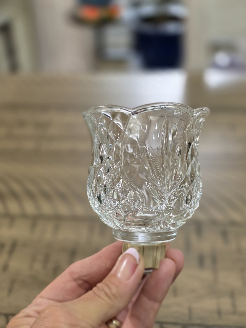 Clear Glass Decorative Nightlight Shade by